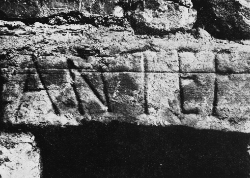 ANTEF Stone